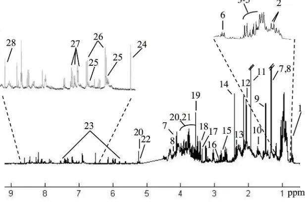 Figure 3 - PCA scores scatter plots using the 1H NMR spectra of fecal extracts - for a) all three diets, b) normal chow and high-fructose diets and c) normal chow and high-glucose diets (note the lower range in PC axis in c), in order to clarify the relati