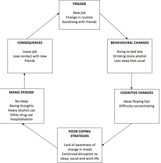 Figure 10.2. Formulation for Sarah based on a previous episode of mania