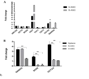 Figure 4 A. qRT-PCR analyses in S-ASC and V-ASC cells. Data are representative of three independent 