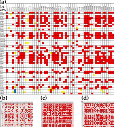 Figure 7: Significant (p < 0.05) expression correlation and independence of the 57 potassium channel genes with the 49 sodium, calcium and chloride channel genes in (a) left atrium, (b) right atrium, (c) left ventricle, (d) right ventricle
