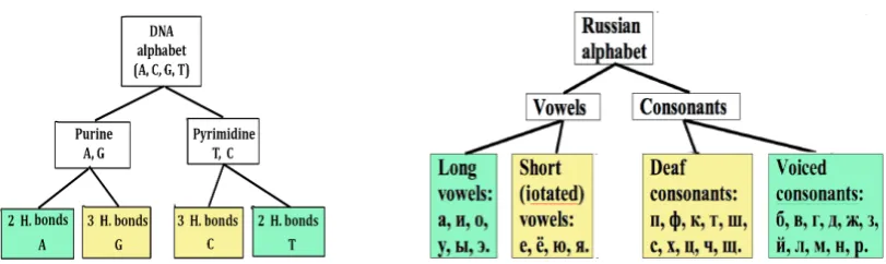 Fig. 5.3) represented by the common symbol 1.  