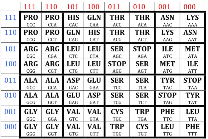 Fig. 2.2 shows the real repetition and location of amino acids and stop-codons in the 