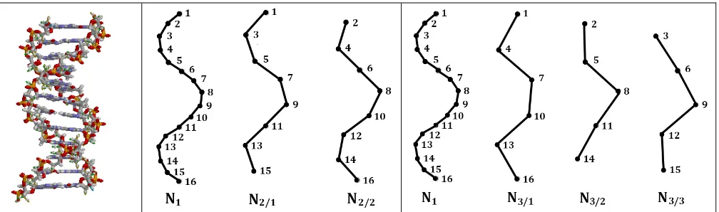 Fig. 2.  Human chromosomes (https://www.ncbi.nlm.nih.gov/genome/51 )