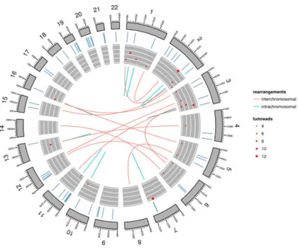 Figure 6. Chromosomal visualization by ggbio. This circular map shows chromosomal segments, which indicates somatic mutations