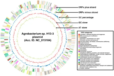 Figure 7. CiVi based circular map of Agrobacterium sp. H13-3 plasmid. There are five rings in 