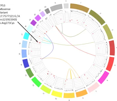 Figure 2. Visualization of whole genome by using Circos [5]. Data taken from the ICGC, specifically 