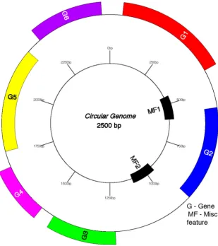 Figure 5. Visualization of different genes by GenomeVX . Genes are colored in groups based on the first two letters of the gene name