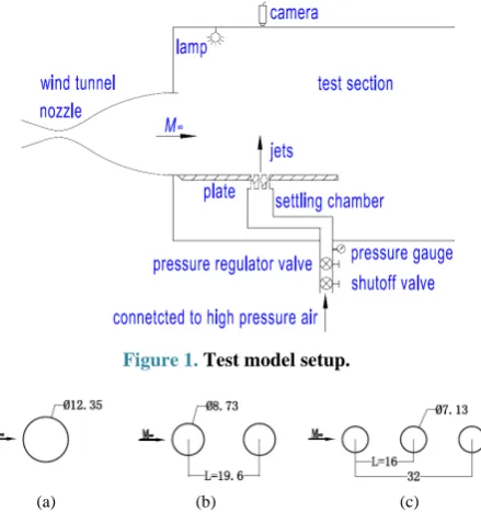 Figure 1. Test model setup. 