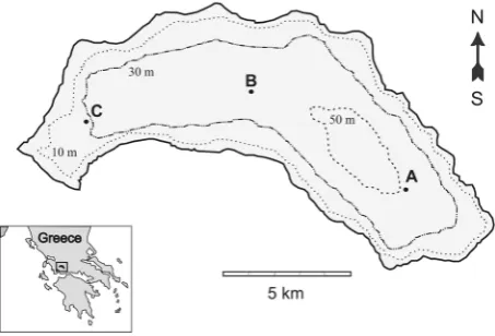 Figure 1. Lake Trichonis with the three sampling stations (A, B and C). 