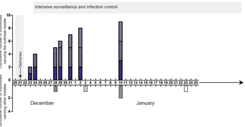 FIG 1 Identiﬁcation of group A streptococcus (GAS) cases. Cumulative number of individuals carrying or infected with the outbreak strain by date (upper axis,hatched bars) and two nonmaternity patients had community-acquired invasive infections caused by GA