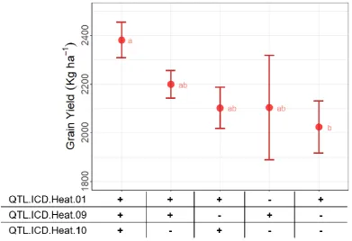 Figure 5. Effect of different allele combinations of the significant loci on yield performance of 208 accessions tested under heat stressed conditions along the Senegal River
