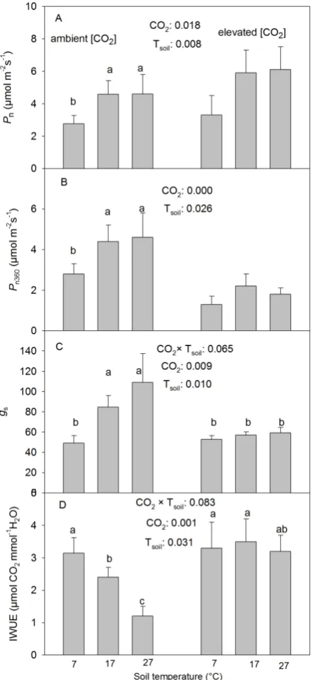 Figure 1. Effects of CO(Tare not significantly different from one another (p > 0.10). tration (Pwere no significant interactions between COand the rate measured at a common ambient COand 27˚C) and 3 levels of P supply (0.1479, 0.3029 and 0.5847 mM Plabeled