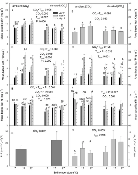 Figure 3. Effects of COplanations are as in 2, Tsoil and P on foliar nutrient concentrations and photosynthetic N and P use efficiency in white birch seedlings