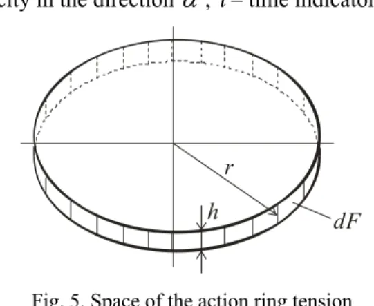 Fig. 5. Space of the action ring tension   of identical value 