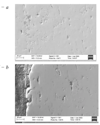 Fig. 9. Damages of the metal   after testing in environment of  