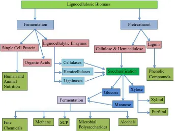 Figure 1. Bioconversion of lignocellulosic biomass into value added products. 