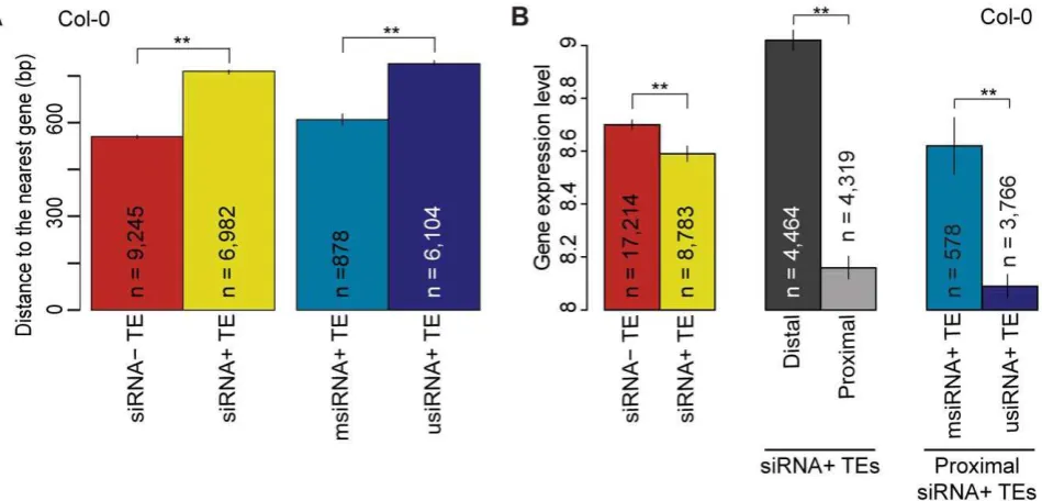 Figure 4. Relationship of TE siRNA–targeting to distance from genes and its effect on gene expression in Col-0