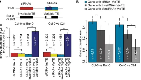 Figure 5. TE variation, siRNA–targeting, and differences in proximal gene expression. (a) Average absolute difference in gene expression21625