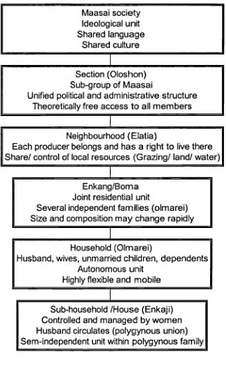 Fig 3.1: Schematic representation of Maasai social organisation (After Grandin, 1991)