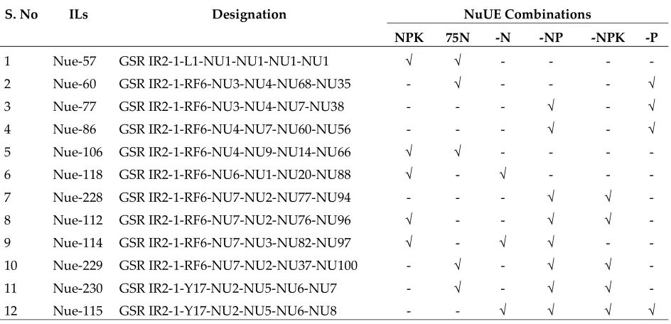 Table 7 lists 12 ILs that showed significantly higher grain yields than WTR1 under two or more nutrient conditions and the same yields as WTR1 under the other conditions