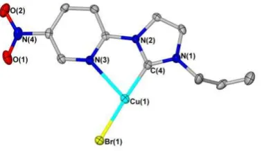 Figure 8. Suggested structure of complex 2f’. 