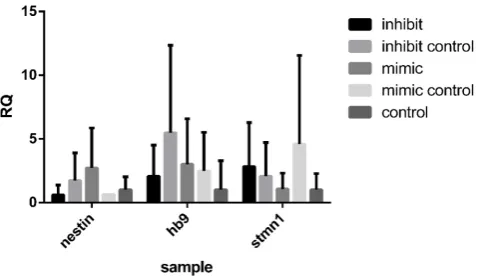 Figure 6. The results of relative gene expression. 