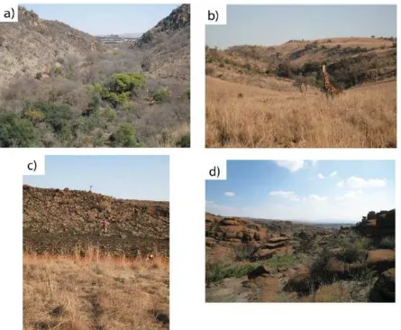 Figure 4: Complex landscapes in South Africa, including (a) a view towards Sterkfontein from the adjacent hard rock showing the complex topography often missed by visitors; (b) a valley close to the Australopithecus sediba 