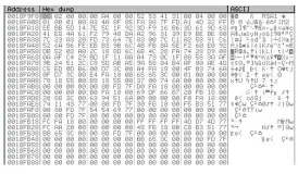 Fig. 23: Hardcoded RSA key