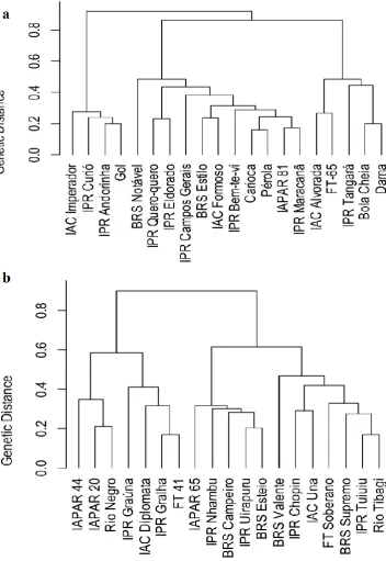 Fig. 2 Dendrogram of genetic dissimilarity between 20 and 19 carioca (a) and black (b) bean cultivars grouped by Ward’s method, based on the standardized mean Euclidean distance matrix