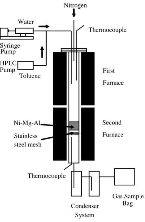 Fig. 1. Schematic diagram of the experimental system 