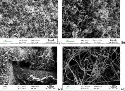 Fig. 2. SEM micrographs of stainless steel mesh derived from various reaction conditions: (a) 