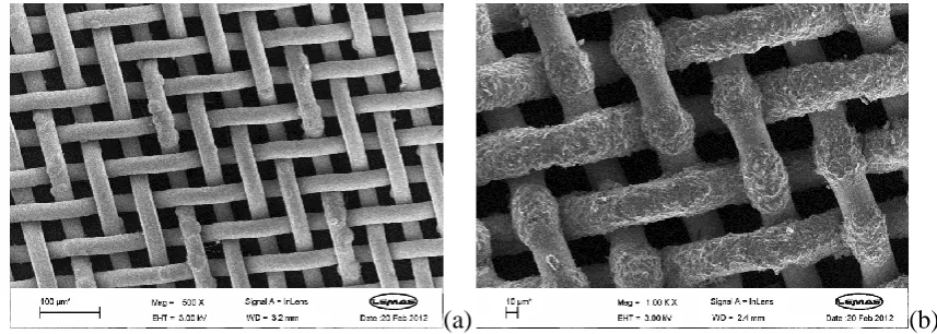 Fig. 3. SEM micrographs of stainless steel mesh derived from various reaction conditions: (a) 