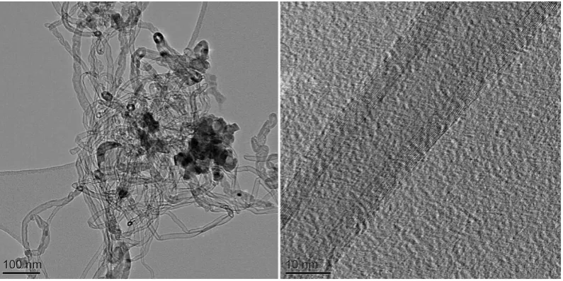 Fig. 4. TEM micrographs of the CNTs produced from toluene gasification in the presence of 