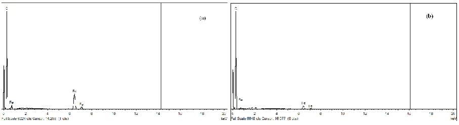 Fig. 7. EDXS analysis of the CNTs produced with: (a) No catalyst + no water; (b) Ni-Mg-Al 