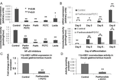 Figure 2. Effect of NF-�B inhibitors on 11�-hydroxysteroid dehydrogenase type 1 (11�-HSD1) oxoreductase expression and activity in C2C12myoblasts