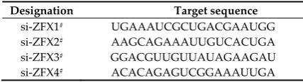 Table 2. Designation and sequences of siRNAs used for ZFX knockdown. 