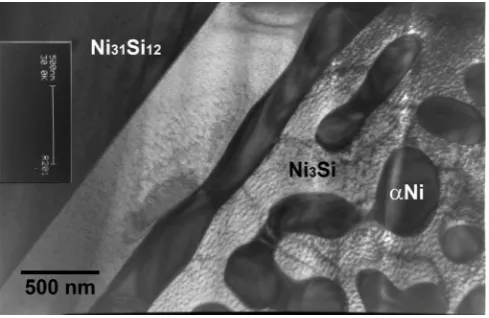 Figure 6. TEM micrograph of the boundary between the Ni- and Si-rich lamellae in the sample undercooled by 80 K prior to nucleation of solidification
