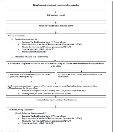 Figure 1 Trial flow diagram.
