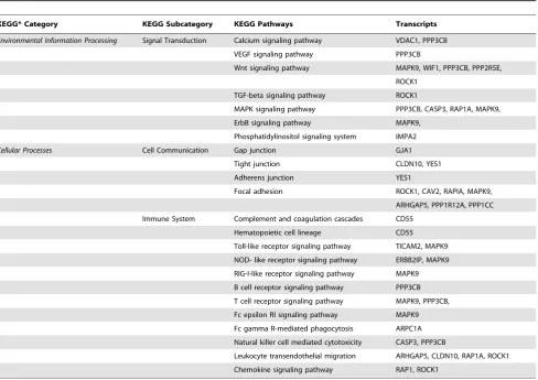 Table 3. Differentially expressed transcripts and pathways involved in Signal transduction, Cell communication and immunesystem.
