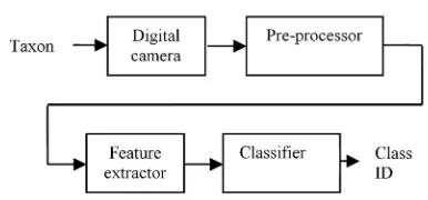 Fig. 2 shows the block diagram of the system. 