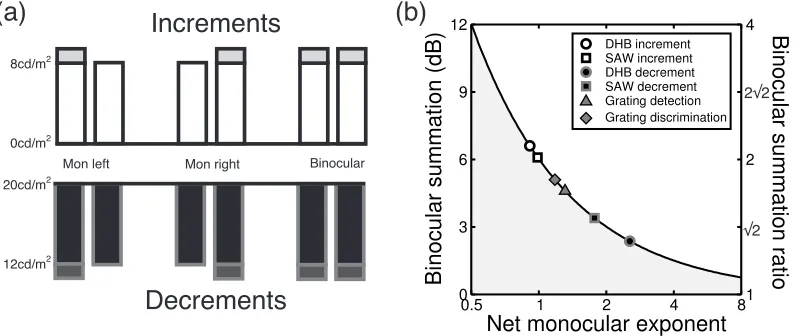 Figure 9. Details and results of a binocular summation experiment. (a) The conditions for a final experiment measuring binocular summation for increments and decrements