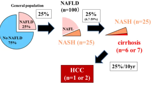 Figure 1  “25% rule” in NAFLD [8] 