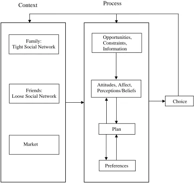Figure 2. Interaction of process and context. 