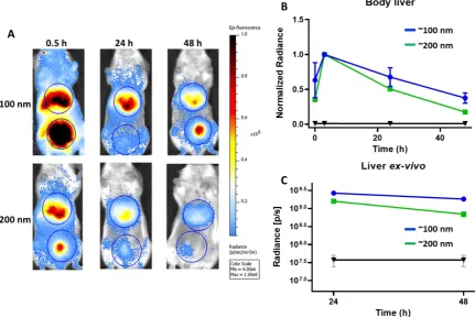 Figure 4. A) Fluorescent whole body images of mice obtained at different time points up to 48 h after i.v
