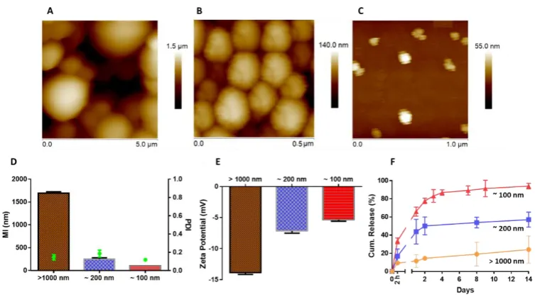 Figure 2. Atomic force microscopy height images of >1000 nm (A), ~200 nm (B) and ~100 nm (C) PLGA particles