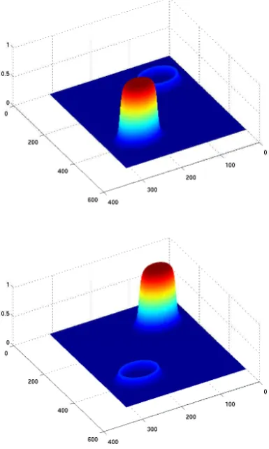 Figure 1: The growth from two separated solid seeds of θthe Lagrange multiplier model