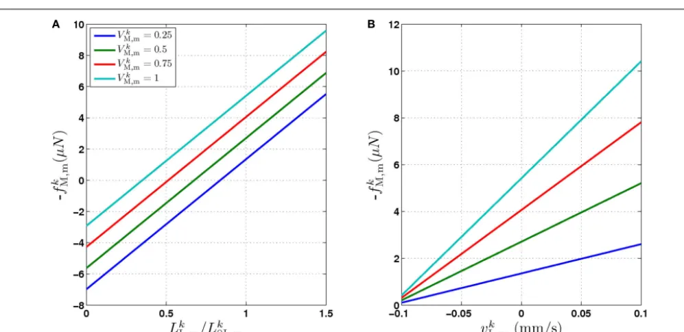 FIGURE 2 |The force generated by model muscles is a function of theiractivation, length, and rate of contraction