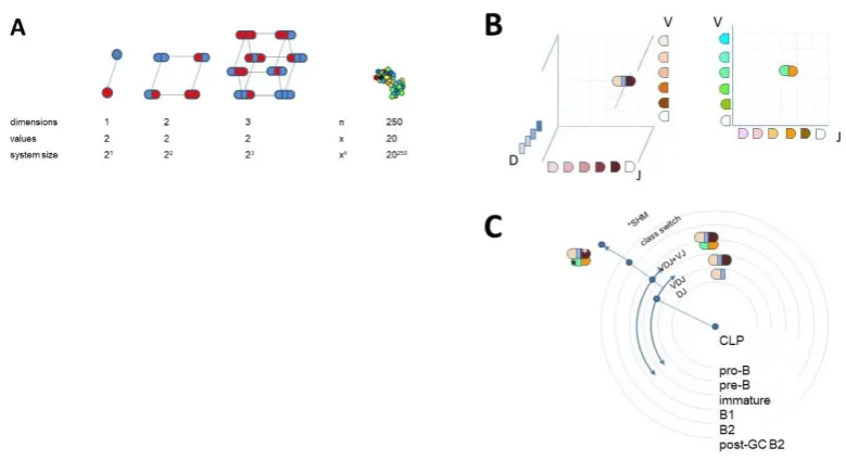 Figure 1. Sequence space and visualization of antibody clonal relationships 
