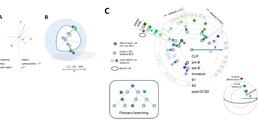 Figure 2. Quantitative interaction space and visualization of antibody network relationships 