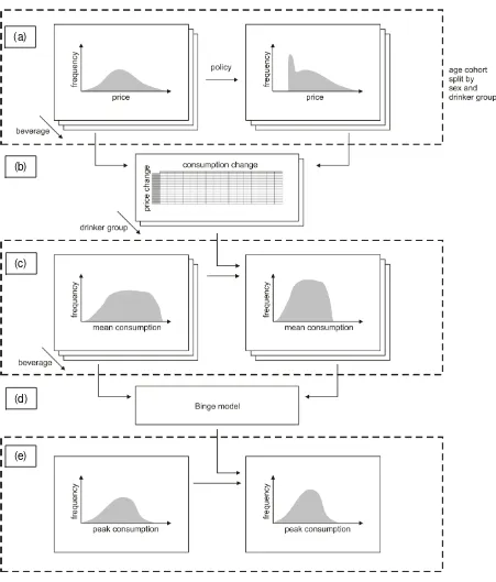 Figure 2: Policy-to-consumption model schematic 